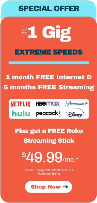 1 Gig Fiber Internet